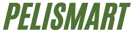 Pelismart logo